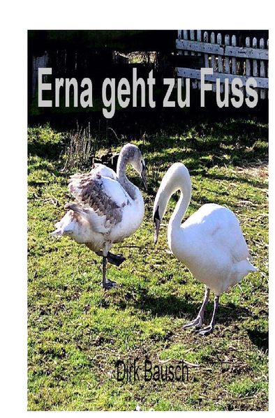 Cover von Erna geht zu Fuss