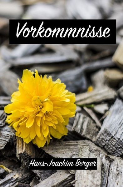 Cover von Vorkommnisse
