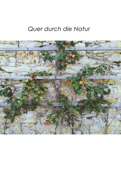 Cover von Quer durch die Natur