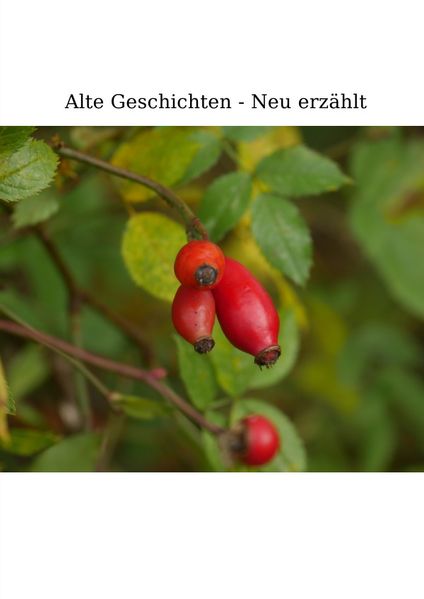 Cover von Alte Geschichten – Neu erzählt.