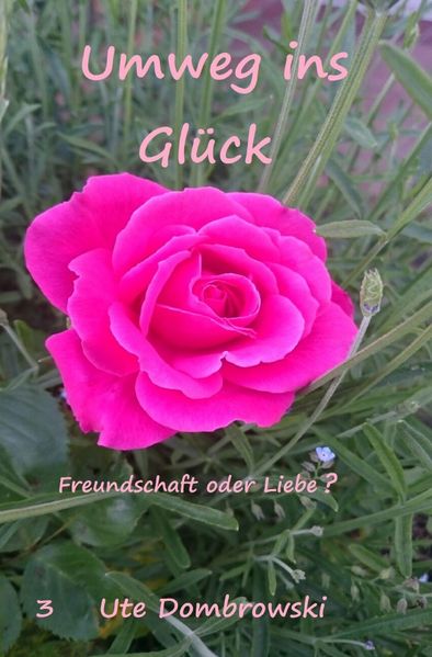 Cover von Nelly / Umweg ins Glück