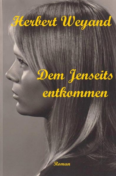 Cover von Dem Jenseits entkommen