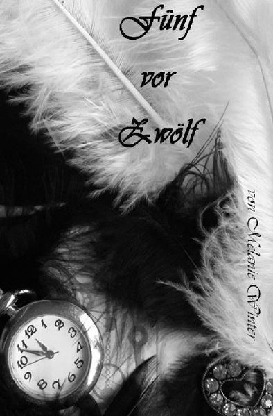 Cover von Fünf vor Zwölf