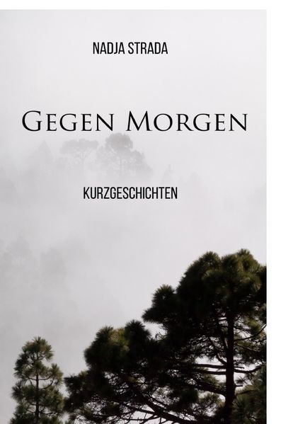 Cover von Gegen Morgen