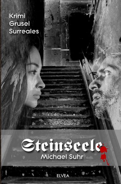 Cover von Steinseele: Sonderedition Großdruck