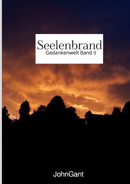 Cover von Gedankenwelt / Seelenbrand