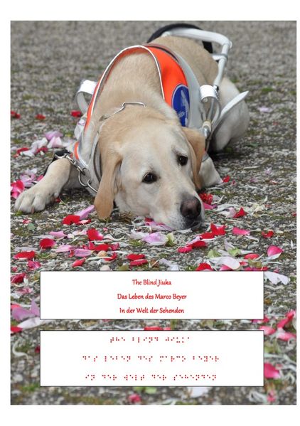 Cover von The blind Jiuka – Das Leben des Marco Beyer in der Welt der Sehenden
