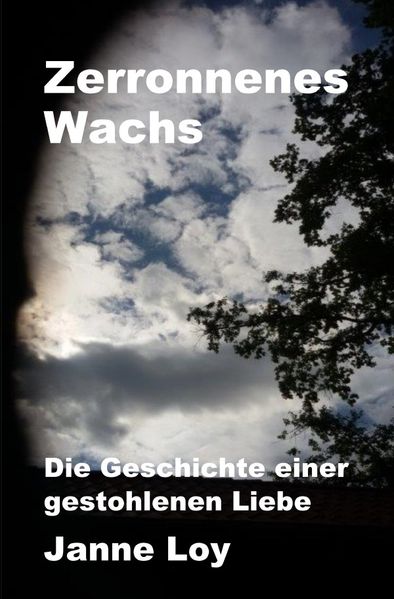 Cover von Zerronnenes Wachs