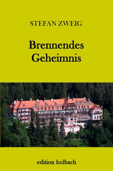 Cover von Brennendes Geheimnis