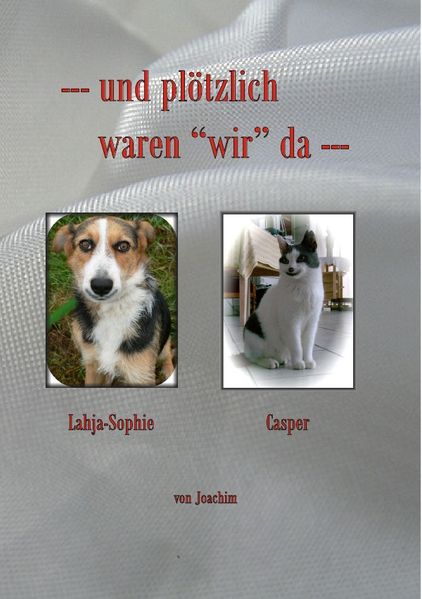 Cover von und plötzlich waren „wir“ da