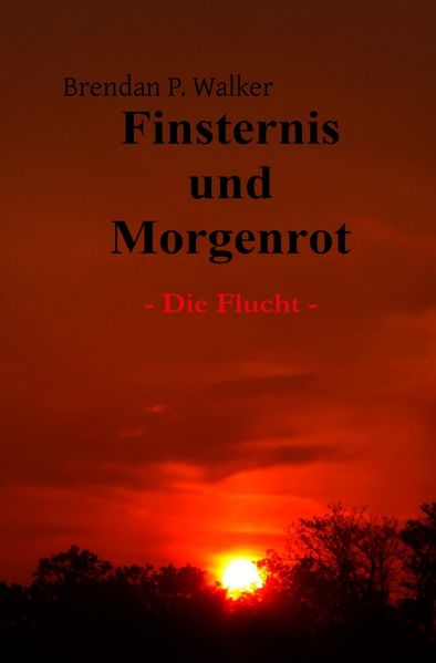 Cover von Finsternis und Morgenrot