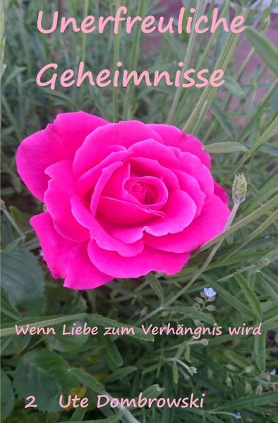 Cover von Nelly / Unerfreuliche Geheimnisse 2