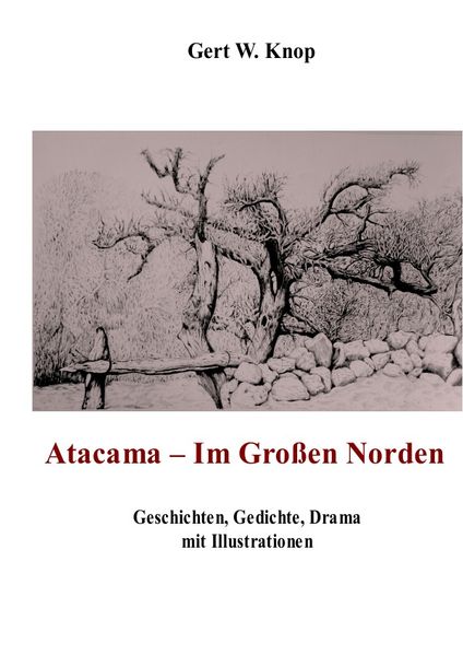 Cover von Atacama