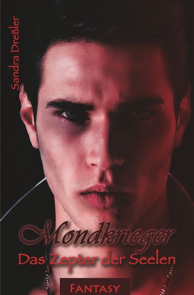 Cover von Mondkrieger