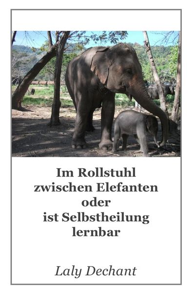 Cover von Ist Selbstheilung lernbar? / Im Rollstuhl zwischen Elefanten oder ist Selbstheilung lernbar