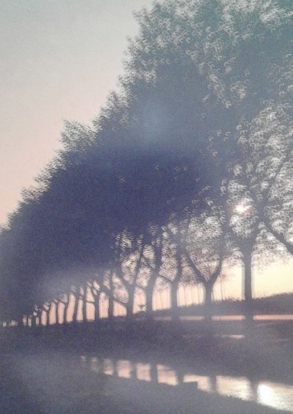 Cover von Dunkelrote Brombeeren