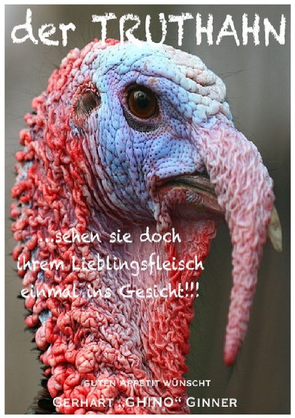 Cover von der Truthahn