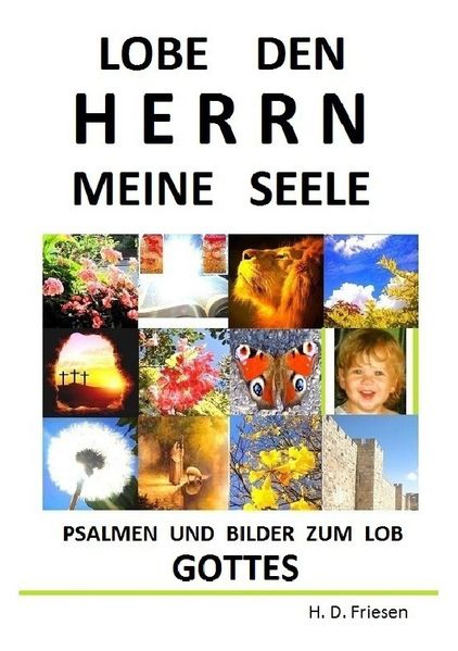 Cover von Lobe den HERRN meine Seele
