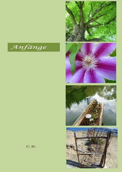 Cover von Anfänge