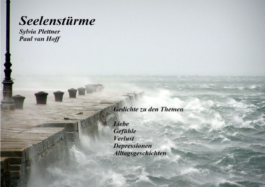 Cover von Seelenstürme