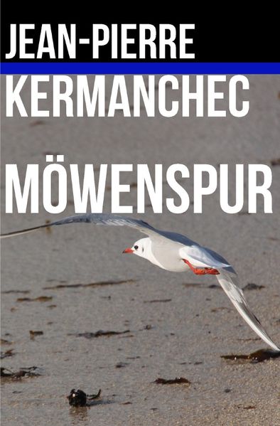 Cover von Möwenspur