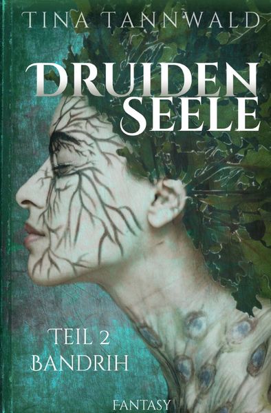 Cover von Druidenseele / Bandrih