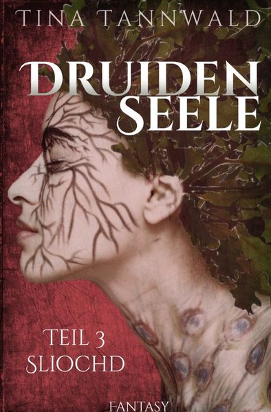 Cover von Druidenseele / Sliochd