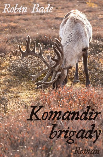 Cover von Komandir brigady