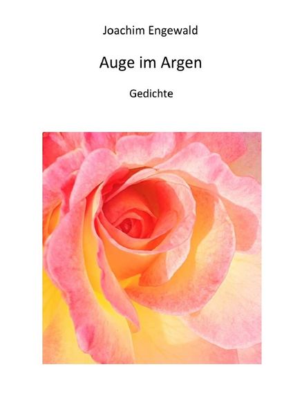 Cover von Auge im Argen