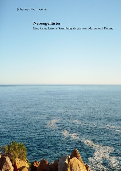 Cover von Nebengeflüster. Eine kleine lyrische Sammlung abseits vom Markte und Ruhme.