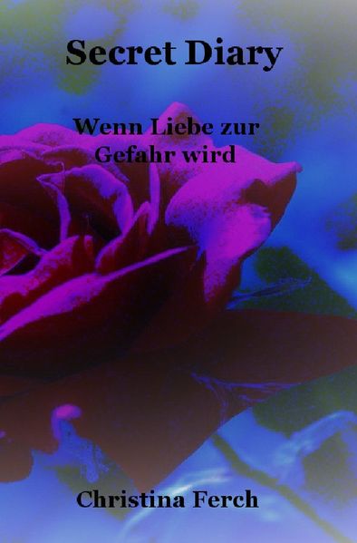 Cover von Wenn Liebe zur Gefahr wird / Secret Diary