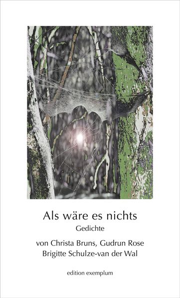 Cover von Als wäre es nichts