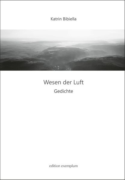 Cover von Wesen der Luft