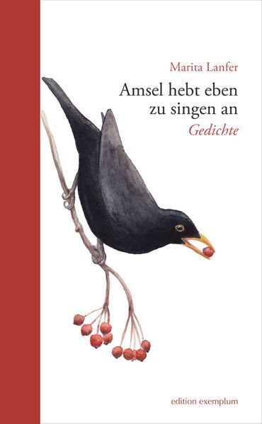 Cover von Amsel hebt eben zu singen an