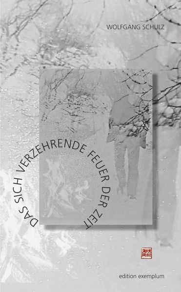 Cover von Das sich verzehrende Feuer der Zeit