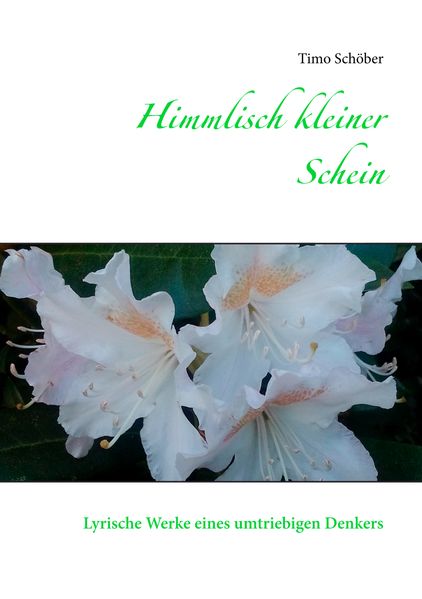 Cover von Himmlisch kleiner Schein