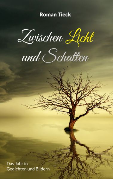 Cover von Zwischen Licht und Schatten