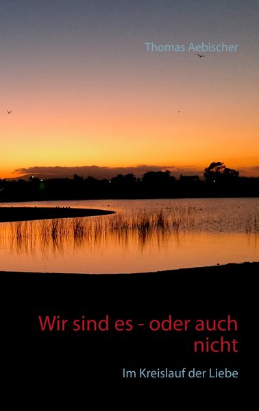 Cover von Wir sind es – oder auch nicht