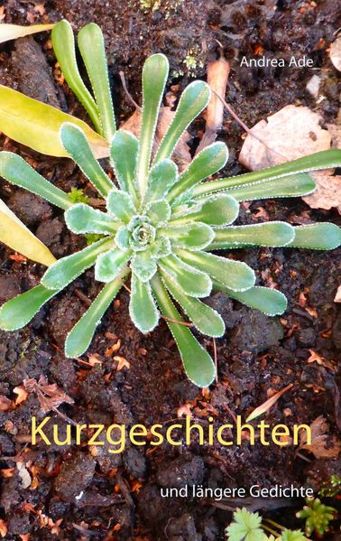 Cover von Kurzgeschichten