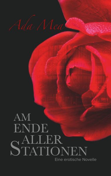 Cover von Am Ende aller Stationen