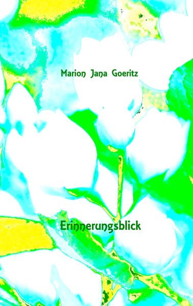 Cover von Erinnerungsblick