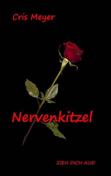Cover von Nervenkitzel