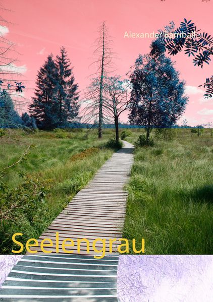 Cover von Seelengrau