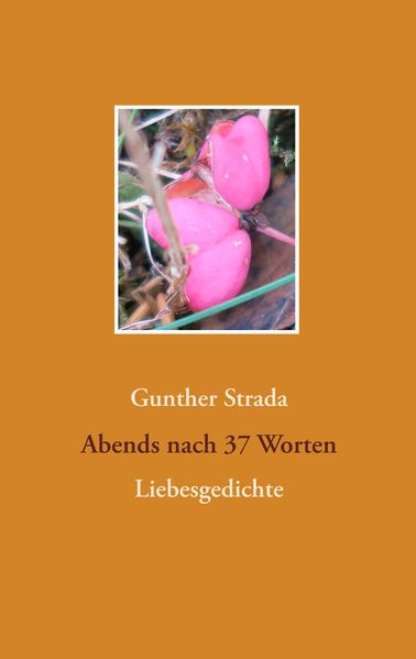Cover von Abends nach 37 Worten