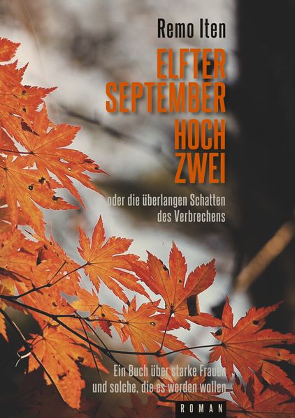 Cover von Elfter September hoch Zwei oder die überlangen Schatten des Verbrechens