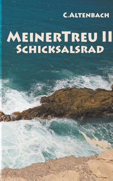 Cover von MeinerTreu II