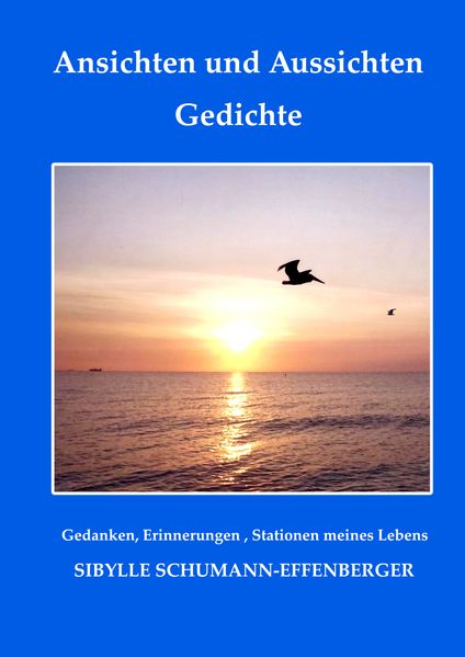 Cover von Ansichten und Aussichten