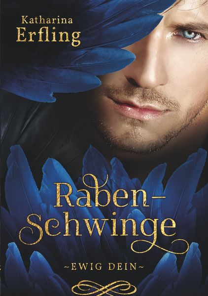 Cover von Rabenschwinge