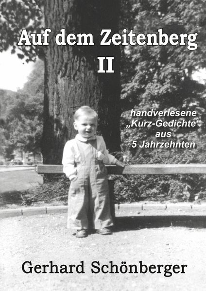 Cover von Auf dem Zeitenberg II