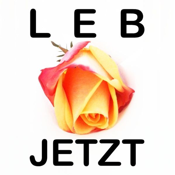 Cover von Leb jetzt